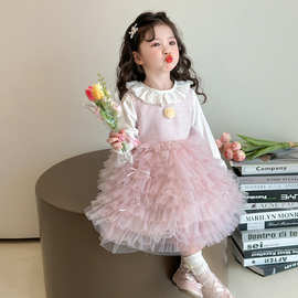 女童连衣裙套装春秋2025新款洋气女孩网纱裙周岁礼服儿童公主裙子