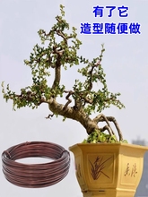 绑扎三角梅绿植造型铝丝盆景吕丝压枝固定线盘景铝线绑花铁丝