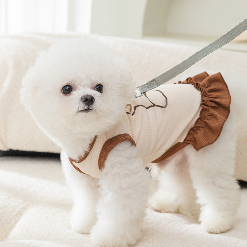 Estilo coreano primavera y verano perro oso tracción pareja ropa tracción chaleco gato dos pies verano mascotas ropa de perro