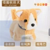 Little Shiba Inu【Electric】♡