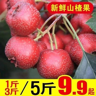 ���rɽ髴���r�����r����Fժ�F�lˮ��Ұ��ɽ��tɽ��r��