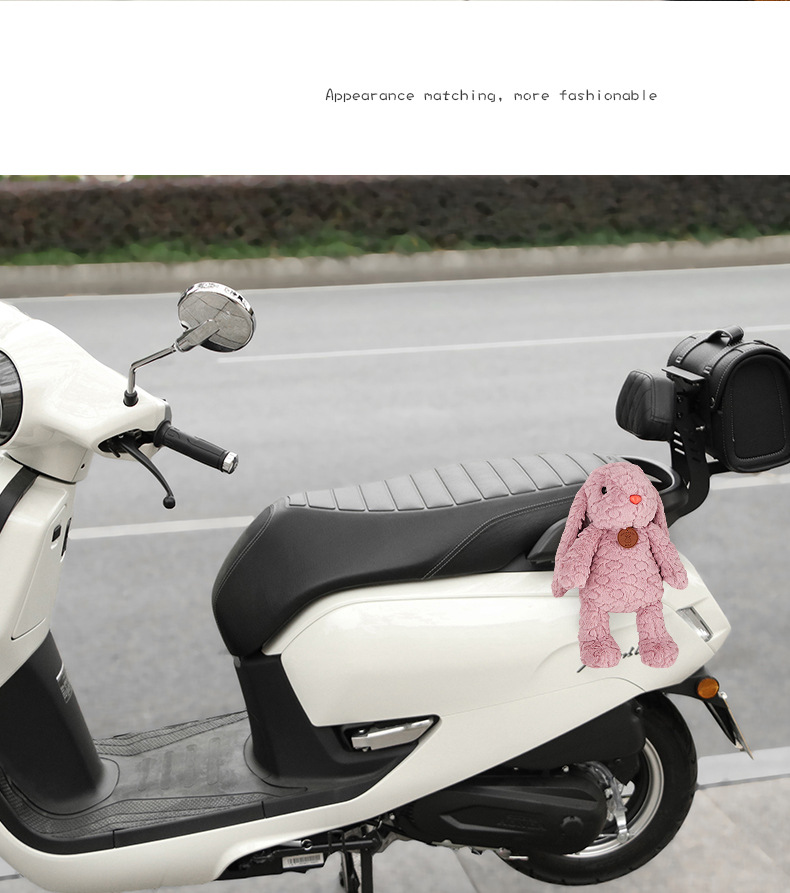 Suitable for Scooter Decorative Parts, Honda Ns125La, Yadi, Aima Body Motorcycle Ornaments, Small Hanging Accessories