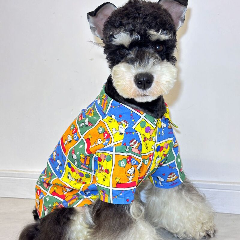 Pet Clothes Shirt Maltese Schanery Yorkshire Bixia Bear Teddy Shishi Dog Dog Clothes