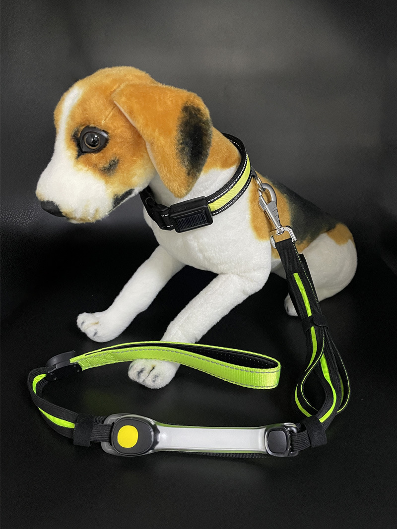 宠物臂带灯25.jpg