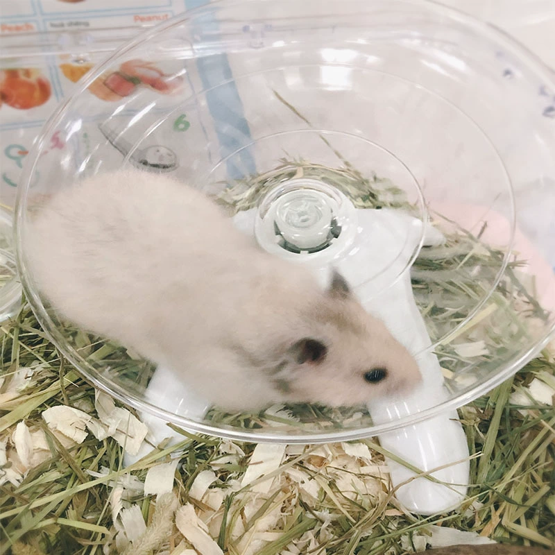 Хомяк для бега с кронштейном бесшумный негабаритный 18 см летающая тарелка для бега Спортивное беговое колесо Golden Bear игрушечные принадлежности