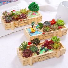 春节含盆肉植物组合盆栽多含土花装饰品新年年宵2022绿植花卉新款