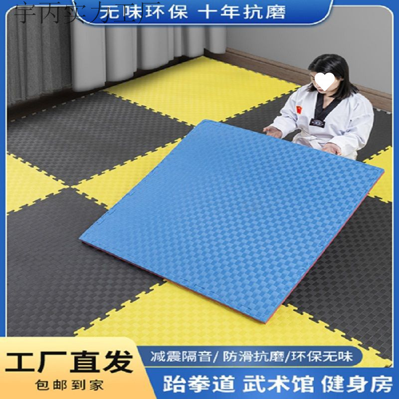 Professional Environmentally Friendly Taekwondo Thickeneded Training Sanda Dance Fighting Kindergarten Hip-Hop Martial Arts Foam Special Mat