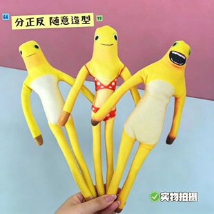 ������������ɸ�ֳ����F�z������ż�Ǽܸ���������ѶY����߅