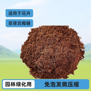 ����������ľ�Nֲ�@�־G�������àI�B�����ݰl΢���s���b�NֲҬ��