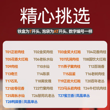 Ҳ~СFІ݃bӴtۆ΅ƷbYпպ