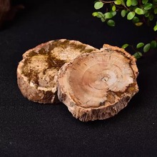 天然古生物化石木化石摆件树化玉原石切片家居办公茶杯垫厂家批发