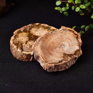 ��Ȼ�����ﻯʯľ��ʯ�[���仯��ԭʯ��Ƭ�Ҿ��k���豭�|�S�����l