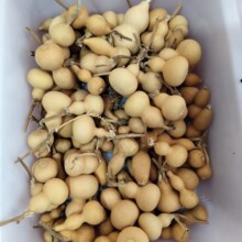 ���Jä��������J���Jä�к��J�S�C�l؛���˓Q��ֵ