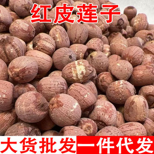 �tƤɏ�� ��ɏ�� ɏ�Ӳ��� ɏ�Ӹ�؛ �a��؛Դ ������ ؛����ă�