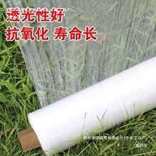 ������ֲ�ص�Ĥ��ݮ�ֲ�ũ���ָ������׻����������ϱ�Ĥ���й�