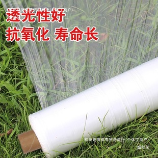 Anti-Weed Planting Mulch for Strawberries, Vegetables, Agricultural Use for Growing Sugar Cane, Corn, Peanuts, Peppers, Watermelon, and Vegetable Films in China