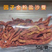 鲜活沙蚕盐沙蚕活沙蚕干海蚯蚓海蚂蟥海蜈蚣海钓鱼饵包邮