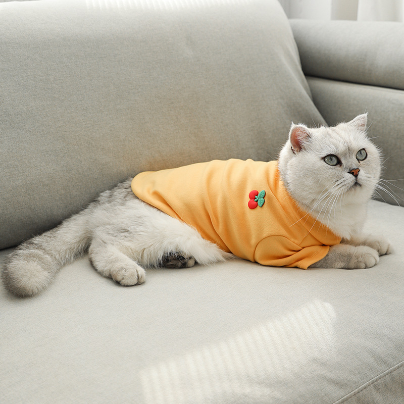 IBEANS mascota primavera y otoño camisa de fondo cuello de Polo cuatro estaciones todo partido cepillado ropa para perros camiseta Morandi desgaste interior