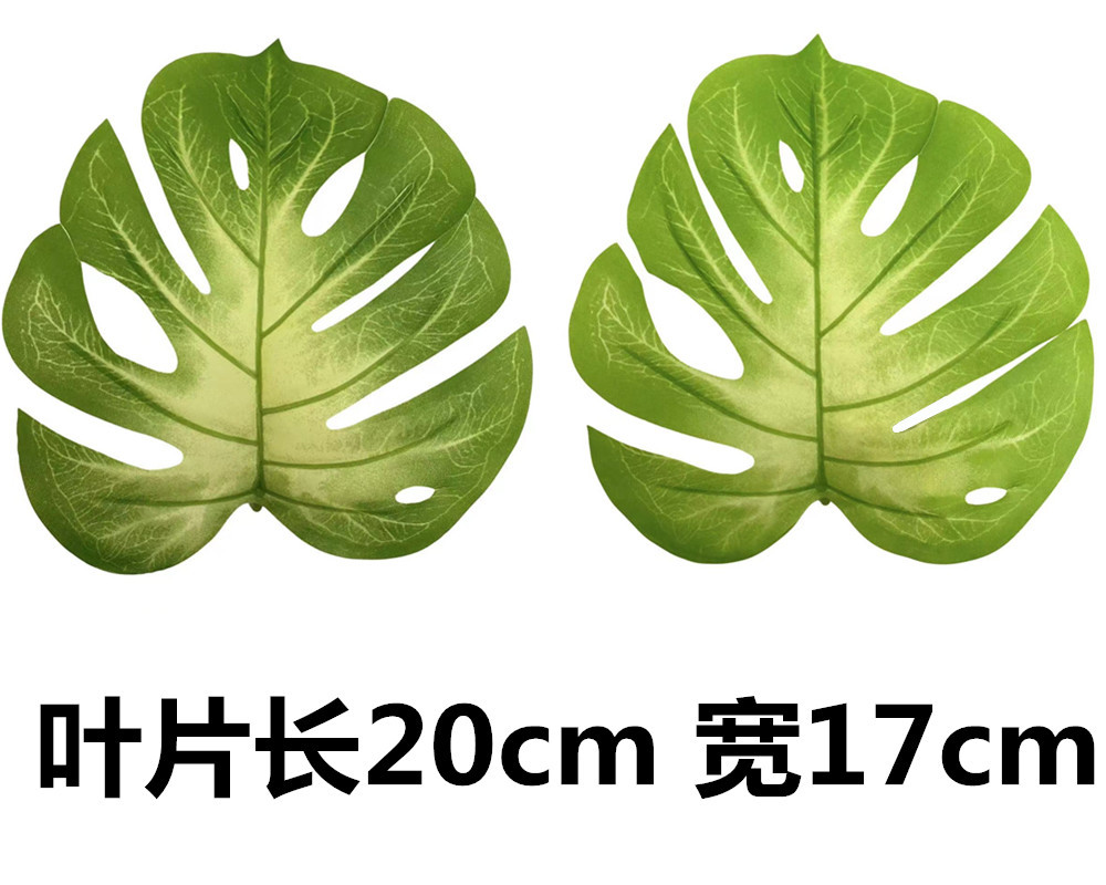 未命名_副本45