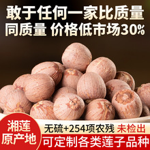 湘潭带芯莲子干货特级湖南湘莲连子干货无硫新货红莲子批发500克