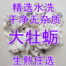 牡蛎 牡蛎壳 原料牡蛎 生牡蛎 锻熟牡蛎 牡蛎粉