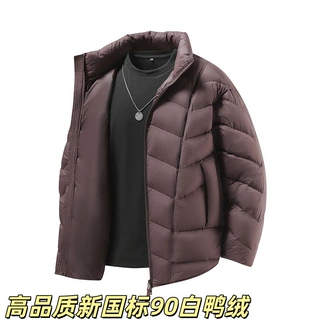 新国标90白鸭绒男士短款羽绒服秋冬立领轻薄保暖时尚百搭羽绒外套