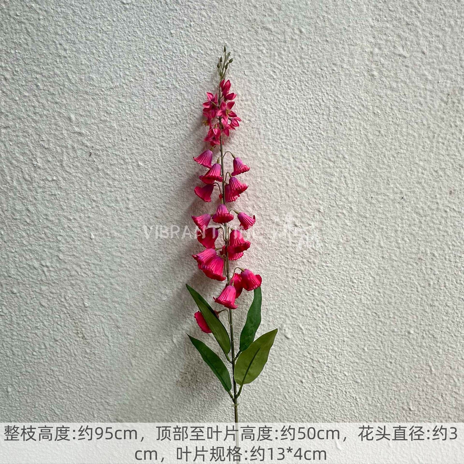 Rose red bellflower