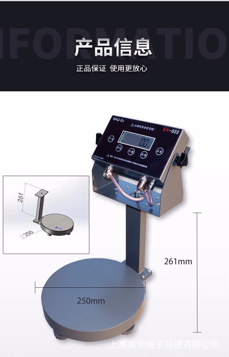 防爆电子秤