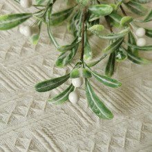 ?l}Qμ RdGֲҾbƷ }QbƷ