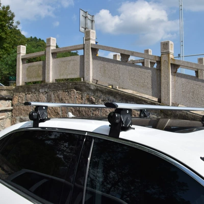 Cross Bars — Pikache Roof rack