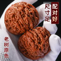 Wenwan орех ручные игровые ручки оптом четырехместные строительные Трехгранные официальные шляпы Кирин узор эссенция пара грецких орехов ручные игровые предметы антиквариат