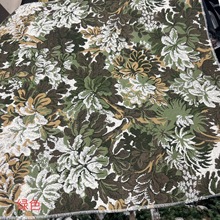 ѩ����Ứɳ������ɫֲ����ɫֲ����ʽ�Ứɳ������������