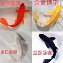 �~�^�p�~�S�\�����~���~�\����ˮ�~С�͵�ˮ�~���B�ͻ���\��