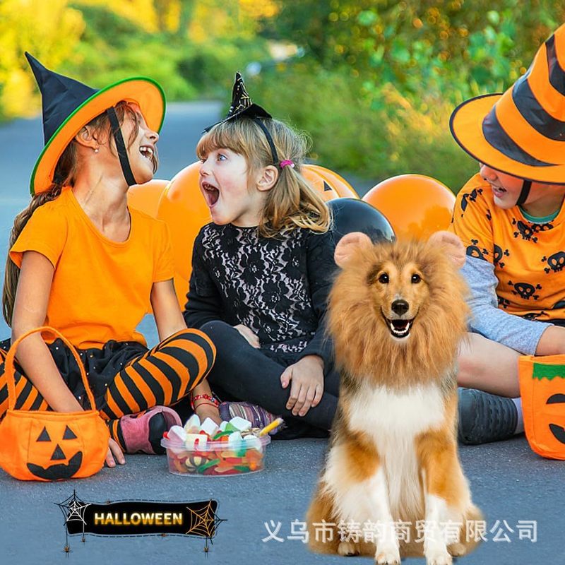 万圣节宠物狮子头套宠物变身搞怪狗狗假发宠物狮子围脖宠物服装|undefined