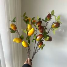 ���滨���ӷ������ӷ����帣����Y��c�ҾӔ[�O�Ĕz���߸߷���