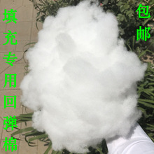 ��������S�ޱ���о����ɳ�l������ֹ�PP�����^������ż������