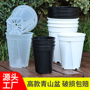 Heightened transparent green mountain basin balcony terrace gardening pot Dendrobium phalaenopsis basin Zhu Ding red plastic flower pot