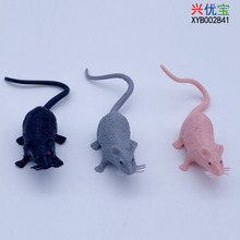�羳�������� ��ʥ�ڲ��ðڼ������� ���˶�������������С����