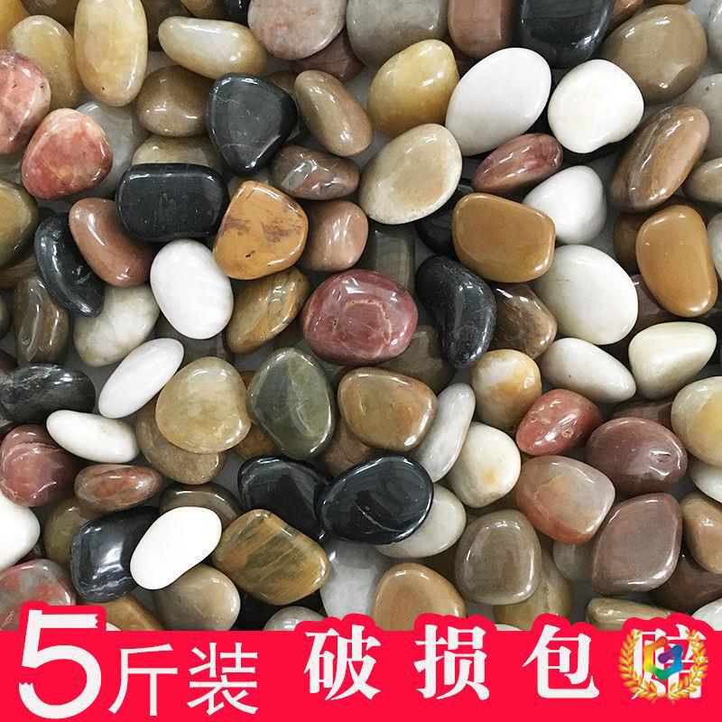 2.5kg Pebble Courtyard Paving Stone Garden Balcony Decoration Multicolored Rain Flower Stone Rough Stone Pebble Paving
