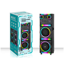 NDR-M1104�¿���������ֻ�˫10��60W�����ݳ��㳡�������ľ��