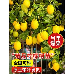 ��ˮ���ʘ�������ˮ��������ϱ����҃�ͥԺ���F�ļ��Nֲ����Y��