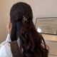 Butterfly Half Tie Hair Small Grab Clip Headwear Women's 2024 New High-end Sense Hairpin Back Head Shark Clip Hair Accessories