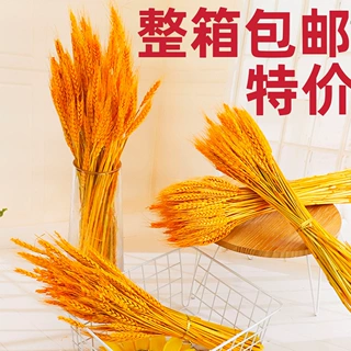 厂家黄金麦穗大麦干花批发田园风拍摄道具开业插花花篮装饰花束篮