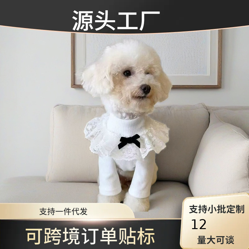 고양이 옷 겨울 옷 높은 칼라 애완 동물 두 다리 옷 강아지 곰 테디 옷 따뜻한 니트 베이스 셔츠