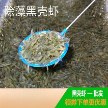 �^�p�r���l�ښ��r�׳����r��ˮ���坍�rˮ�����쾰�~�׹���