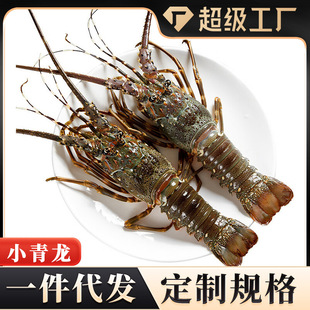 С������������rҰ�����r�ك���ʿ�D���r���r�r�����lһ�����l