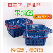 ݮ�@10����ժ��÷ɣ�ػ@��T���w����ˮ���@������l�S�����uͨ