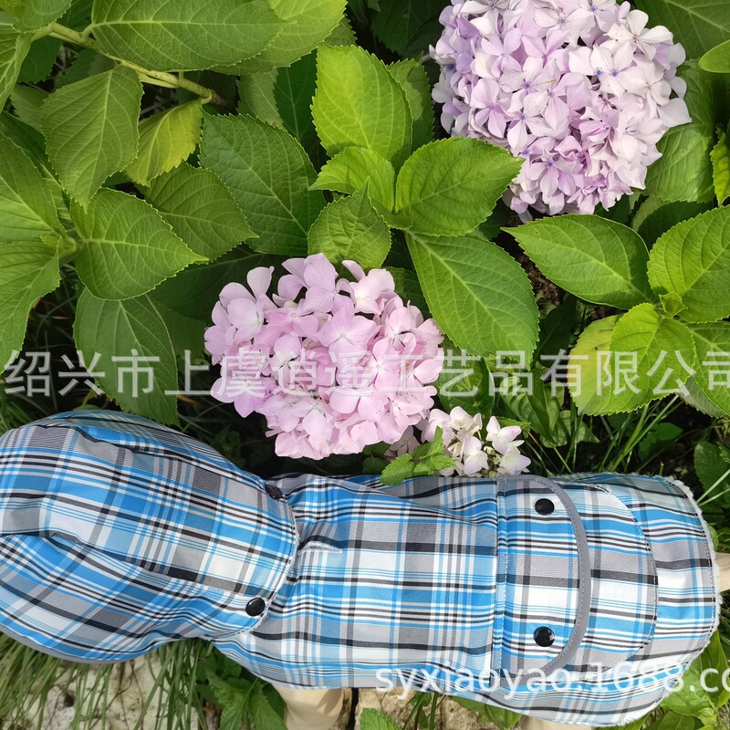 Pet dog raincoat hat detachable colorful lamb wool double raincoat factory direct in stock