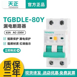 TENGEN����TGBDLE-80Y©는�·�� C�͔�·���՚��_�P©��2P 220V