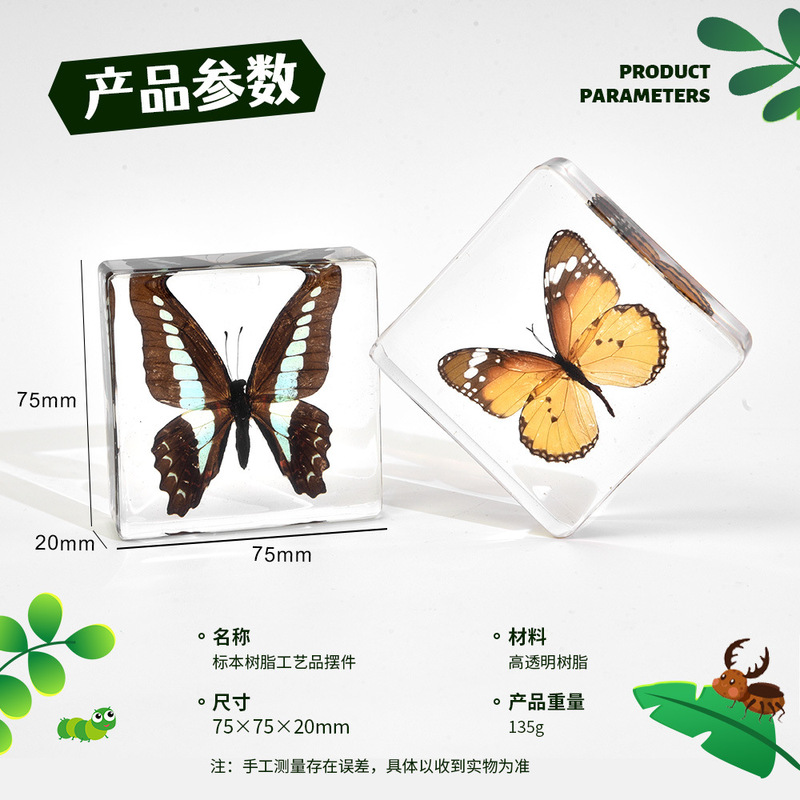 7# Fang Shu Zhen True Butterfly Insect Ocean Resin Drop Glue Creative Gift Creative Museum Craft Accompanying Ceremony 7# Fang Shu Zhen True Butterfly Insect Ocean Resin Drop Glue Creative Gift Creative Museum Craft Accompanying Ceremony